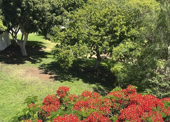 Brisas Seaview - * Costa Adeje (Tenerife)