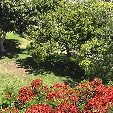 Brisas Seaview - * Costa Adeje (Tenerife)